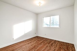 Photo 17: 220 Castledale Way NE in Calgary: Castleridge Detached for sale : MLS®# A2012509