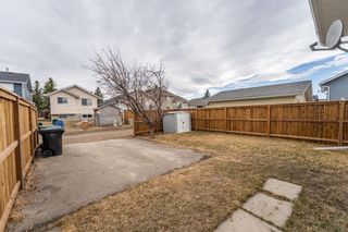 Photo 25: 115 Martinwood Road NE in Calgary: Martindale Detached for sale : MLS®# A1197189