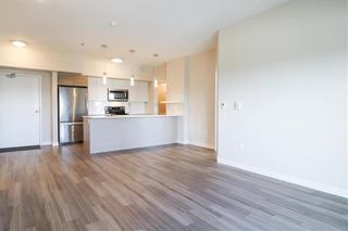 Photo 9: 210 80 Philip Lee Drive in Winnipeg: Crocus Meadows Condominium for sale (3K)  : MLS®# 202113062