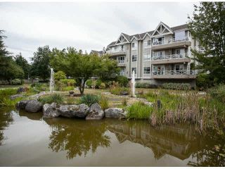 Photo 19: 201 5556 201A Street in Langley: Langley City Condo for sale in "Michaud Gardens" : MLS®# F1421361
