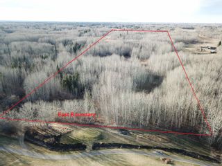 Photo 11: 51313 Rge Road 261: Rural Parkland County Rural Land/Vacant Lot for sale : MLS®# E4269500