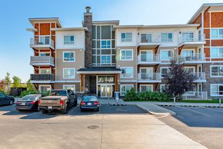 Photo 1: 7213 302 Skyview Ranch Drive NE in Calgary: Skyview Ranch Apartment for sale : MLS®# A1252183