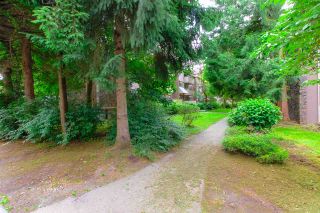 Photo 22: 33 2432 WILSON Avenue in Port Coquitlam: Central Pt Coquitlam Condo for sale in "ORCHARD VALLEY" : MLS®# R2485264
