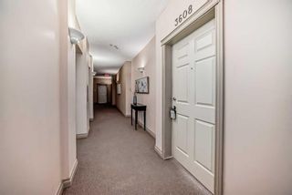 Photo 2: 3608 24 Hemlock Crescent SW in Calgary: Spruce Cliff Apartment for sale : MLS®# A2122978