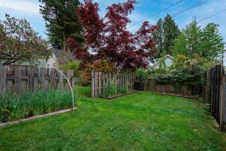 Photo 37: 7849 BIRCH STREET in Vancouver: Marpole House for sale (Vancouver West)  : MLS®# R2574973