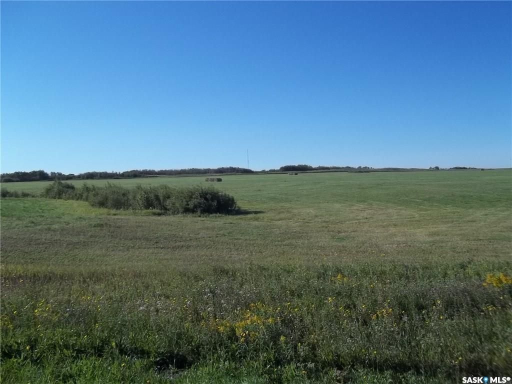 Main Photo: Mepham Land in Saskatoon: Farm for sale : MLS®# SK901118
