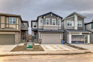 Photo 50: 74 Belvedere Green SE in Calgary: Belvedere Detached for sale : MLS®# A2129049