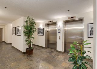 Photo 27: 504 990 Centre Avenue NE in Calgary: Bridgeland/Riverside Apartment for sale : MLS®# A1251413