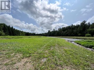 Photo 3: LOT Upton Road in Simonds: Recreational for sale : MLS®# NB089732
