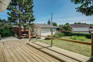 Photo 21: 5920 BUCKTHORN Road NW in Calgary: Thorncliffe Detached for sale : MLS®# C4172366