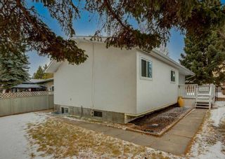 Photo 21: 3015 32A Avenue SE in Calgary: Dover Detached for sale : MLS®# A2115497
