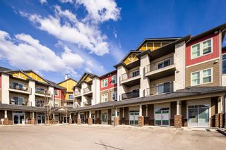 Photo 25: 9215 101 Sunset Drive: Cochrane Apartment for sale : MLS®# A2127322