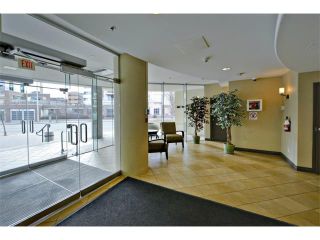 Photo 27: 1102 1088 6 Avenue SW in Calgary: Downtown West End Condo for sale : MLS®# C4004240