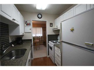 Photo 4: 304 1048 KING ALBERT Avenue in Coquitlam: Central Coquitlam Condo for sale in "BLUE MOUNTAIN MANOR" : MLS®# V914288