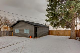 Photo 31: 1375 Lake Michigan Crescent SE in Calgary: Bonavista Downs Detached for sale : MLS®# A1206709