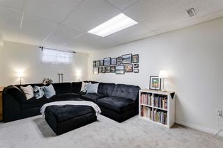 Photo 21: 4669 20th Street SW in Calgary: Garrison Woods Semi Detached (Half Duplex) for sale : MLS®# A2010448