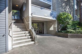 Photo 19: 437 3364 MARQUETTE Crescent in Vancouver: Champlain Heights Condo for sale in "CHAMPLAIN RIDGE" (Vancouver East)  : MLS®# R2304679