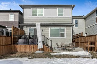 Photo 42: 293 Walgrove Terrace SE in Calgary: Walden Detached for sale : MLS®# A1077066
