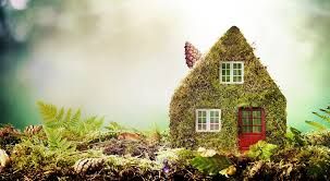 Make Your Home More Eco-Friendly