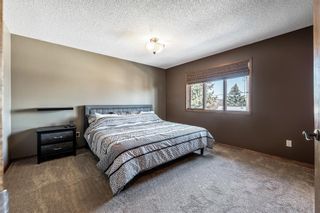 Photo 16: 102 Thornburn Place: Strathmore Detached for sale : MLS®# A2033701