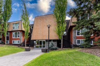 Photo 17: 210 315 50 Avenue SW in Calgary: Windsor Park Apartment for sale : MLS®# A1226010