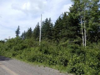 Photo 4: 15.5 acres Lairg Road in New Lairg: 108-Rural Pictou County Vacant Land for sale (Northern Region)  : MLS®# 202226624