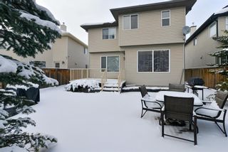 Photo 40: 136 Royal Birch Terrace NW in Calgary: Royal Oak Detached for sale : MLS®# A1179426
