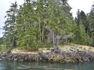 Photo 9: Lot 1 Pearse Island in See Remarks: Isl Small Islands (North Island Area) Land for sale (Islands)  : MLS®# 896145