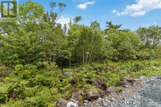 Photo 10: Lot 7 Maple Ridge Drive in White Point: Vacant Land for sale : MLS®# 202315168