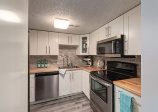 Photo 10: 402 1540 29 Street NW in Calgary: St Andrews Heights Apartment for sale : MLS®# A1141657