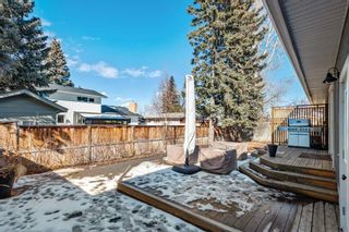 Photo 42: 10608 Willowind Place SE in Calgary: Willow Park Detached for sale : MLS®# A2114097
