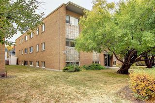 Photo 3: 4 310 22 Avenue SW in Calgary: Mission Apartment for sale : MLS®# A2003323