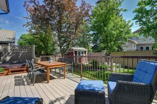 Photo 44: 6094 Signal Ridge Heights SW in Calgary: Signal Hill Detached for sale : MLS®# A2053346