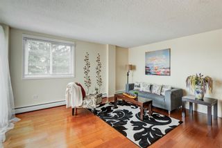 Photo 16: 42 528 Cedar Crescent SW in Calgary: Spruce Cliff Apartment for sale : MLS®# A1191210