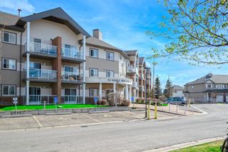 Main Photo: 306 92 Saddletree Court NE in Calgary: Saddle Ridge Apartment for sale : MLS®# A1217262