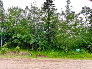 Main Photo: 106 Wolf Close: Rural Ponoka County Residential Land for sale : MLS®# A2054186