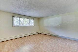 Photo 12: 102 730 2 Avenue NW in Calgary: Sunnyside Apartment for sale : MLS®# A2129548