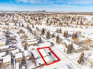 Photo 44: 232 Erin Mount Crescent SE in Calgary: Erin Woods Detached for sale : MLS®# A2022417