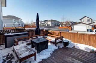 Photo 28: 460 Cranberry Circle SE in Calgary: Cranston Detached for sale : MLS®# A2033809