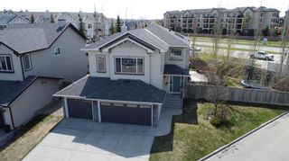 Photo 42: 154 New Brighton Manor SE in Calgary: New Brighton Detached for sale : MLS®# A2127179