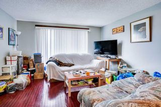 Photo 19: 40 Appletree Way SE in Calgary: Applewood Park Detached for sale : MLS®# A2094167