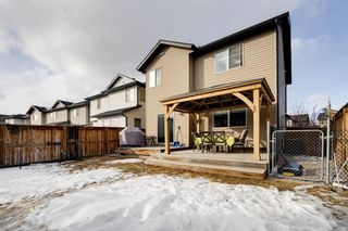 Photo 28: 23 Walden Court SE in Calgary: Walden Detached for sale : MLS®# A1191529