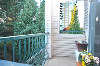 Photo 8: 411 3172 GLADWIN Road in Abbotsford: Central Abbotsford Condo for sale in "Regency Park" : MLS®# R2737572