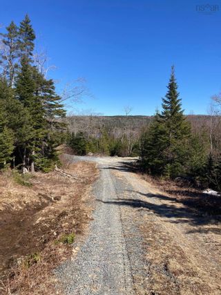 Photo 13: Lot 52 Riverside Drive in Goldenville: 303-Guysborough County Vacant Land for sale (Highland Region)  : MLS®# 202129137