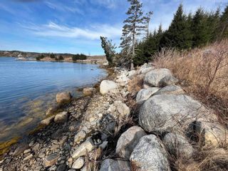 Photo 7: 6 Josey Road in Spry Bay: 35-Halifax County East Vacant Land for sale (Halifax-Dartmouth)  : MLS®# 202305849