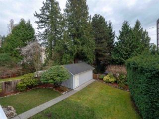 Photo 15: 1472 FULTON Avenue in West Vancouver: Ambleside House for sale : MLS®# R2499022
