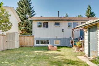 Photo 35: 503 QUEEN CHARLOTTE Road SE in Calgary: Queensland Detached for sale : MLS®# A1029461