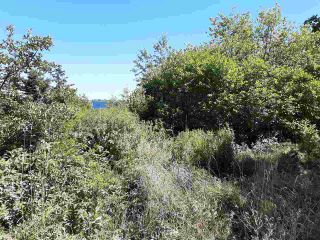 Photo 5: Lot Long Cove Road in Port Medway: 406-Queens County Vacant Land for sale (South Shore)  : MLS®# 202017267