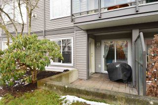 Photo 17: 103 20200 56 Avenue in Langley: Langley City Condo for sale in "THE BENTLEY" : MLS®# R2142341