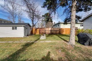 Photo 41: 2719 16A Street SE in Calgary: Inglewood Detached for sale : MLS®# A1156165